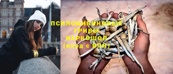 стаф Алексеевка
