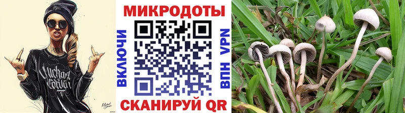 Псилоцибиновые грибы Psilocybine cubensis кракен ССЫЛКА Гагарин где найти